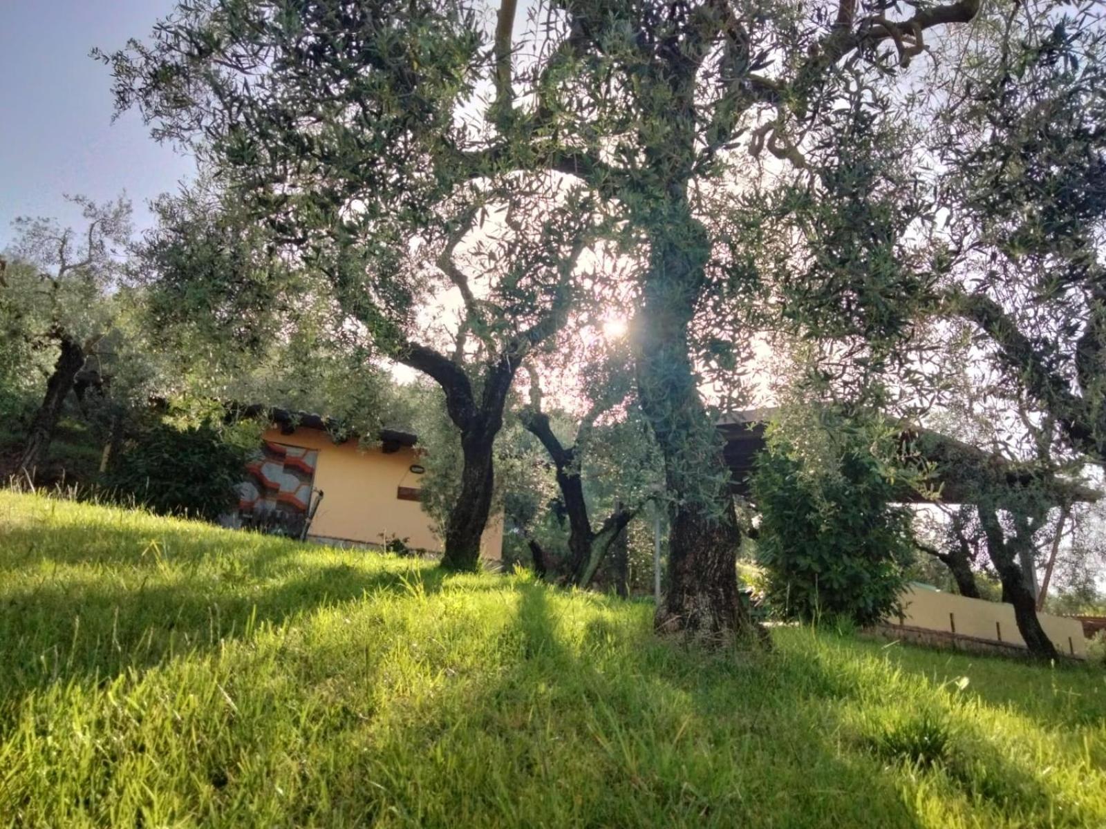 Gasthof Casale Di Valle Fredda Itri