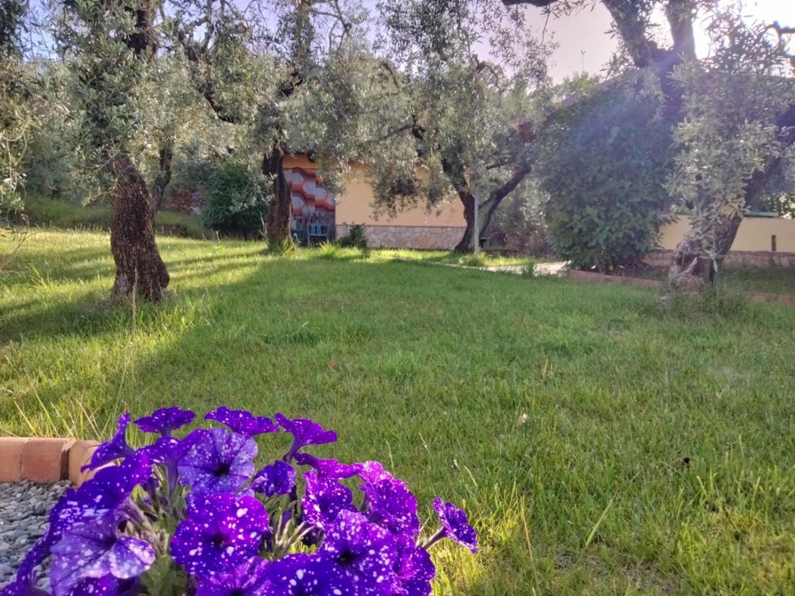 Casale Di Valle Fredda * Itri